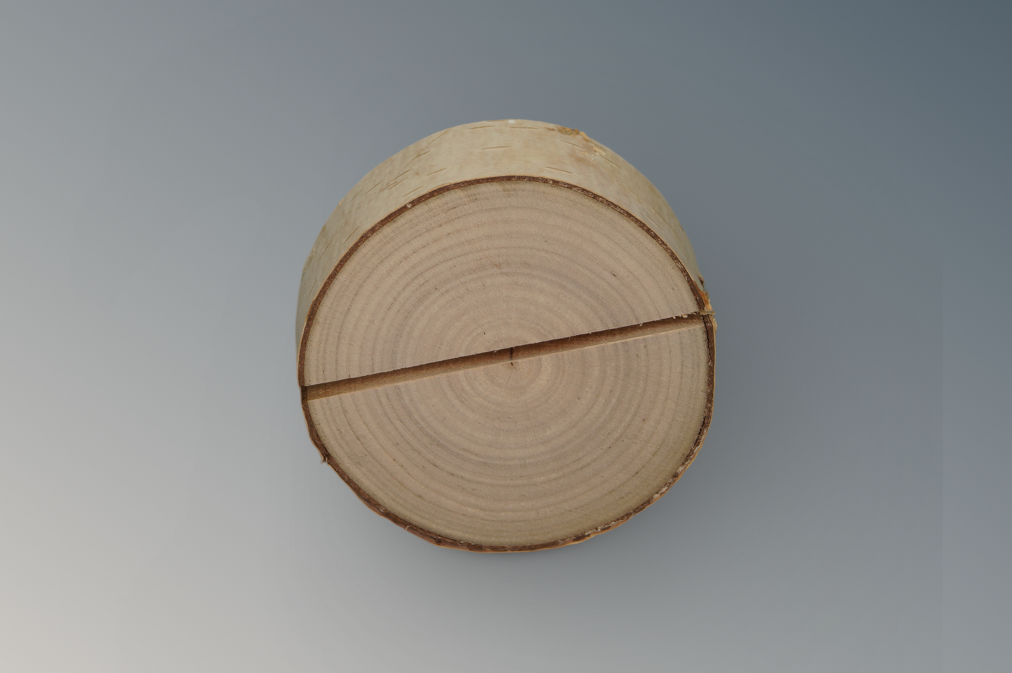 Tischkartenhalter | Menükartenhalter für die Hochzeit, im Set, aus Holzscheiben (Birkenholz)