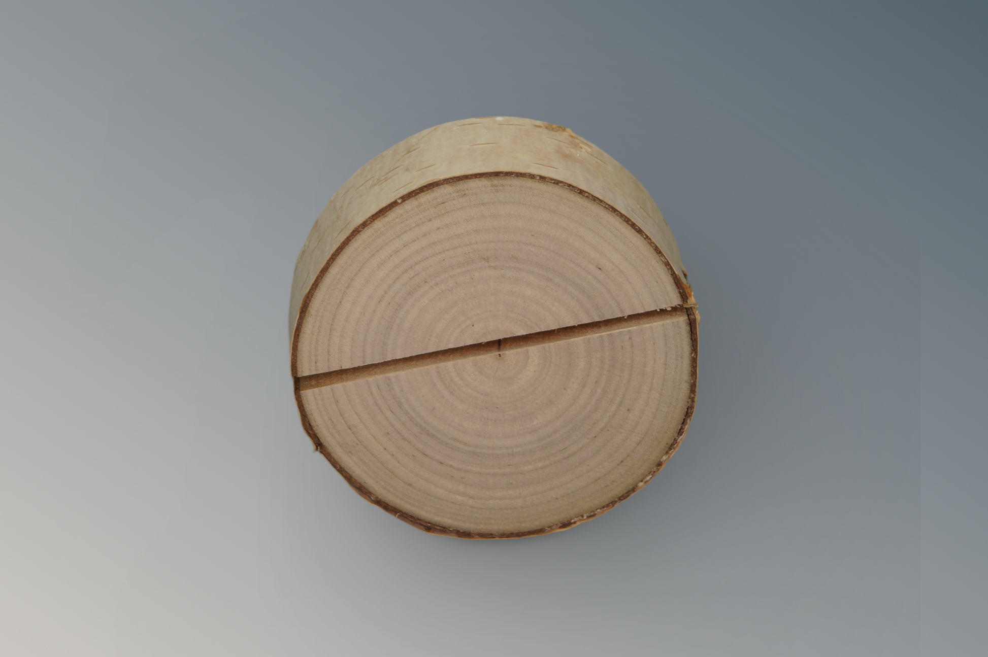 Menükartenhalter Birke